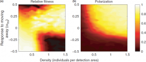 RelFitness_Polarization