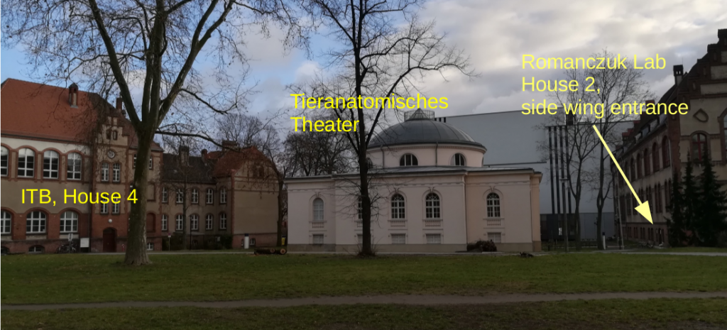 Contact Romanczuk Lab Collective Information Processing